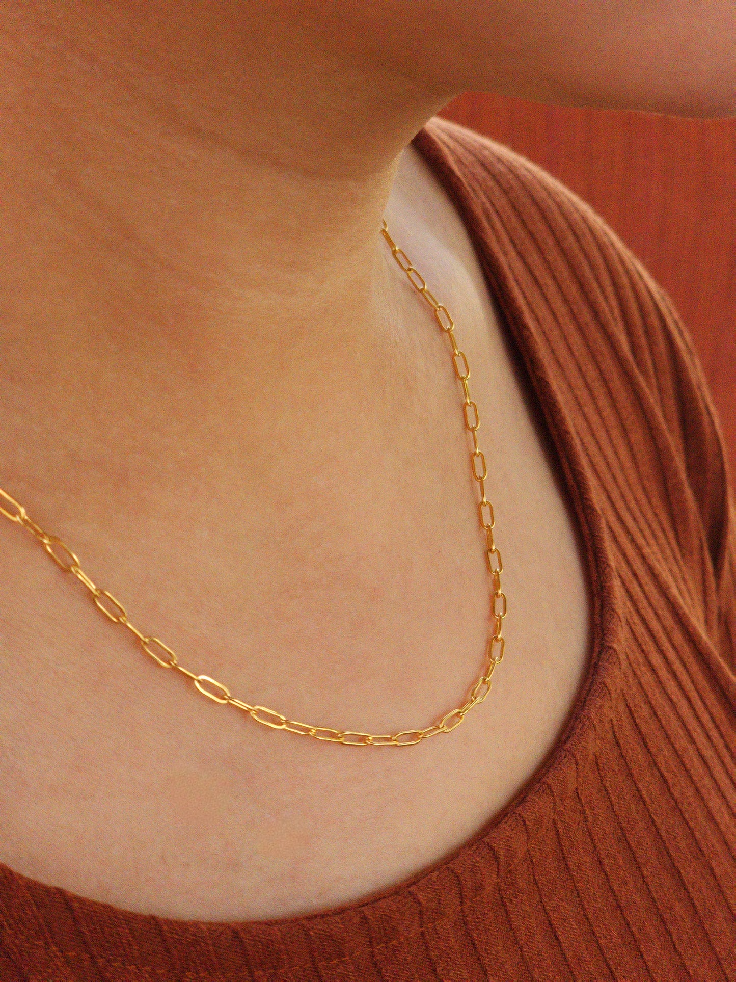 Paperclip Necklace